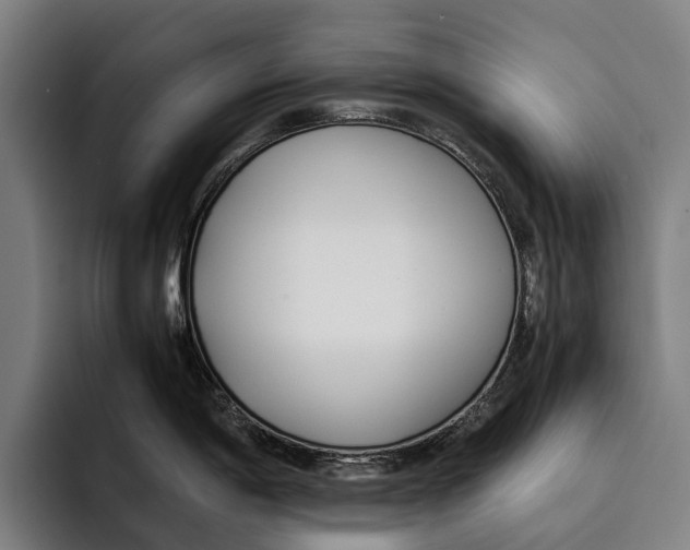 X0000092241198200710121231
