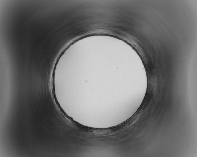 X0000092241199200710121231