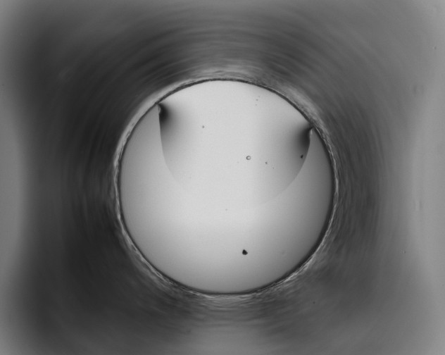 X0000092241200200710121231