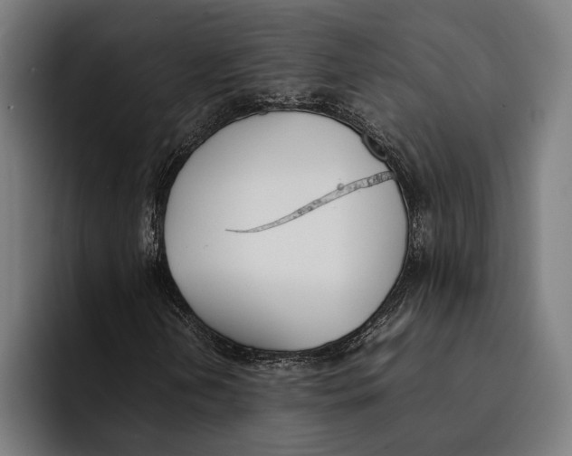 X0000092241202200710121230