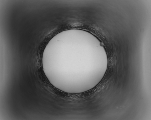 X0000092241205200710121230