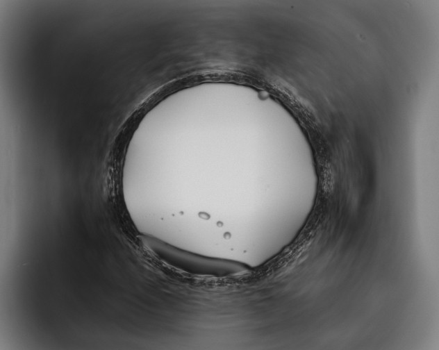 X0000092241208200710121230
