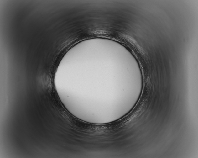 X0000092241209200710121230