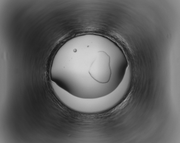 X0000092241210200710121230