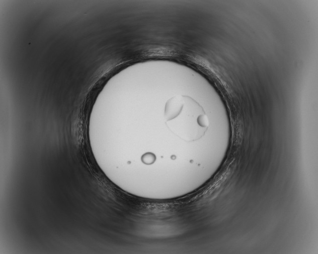 X0000092241211200710121230