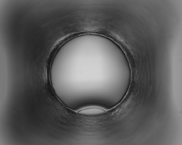 X0000092241214200710121230