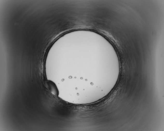 X0000092241220200710121230