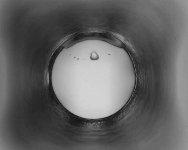 X0000092241221200710121230