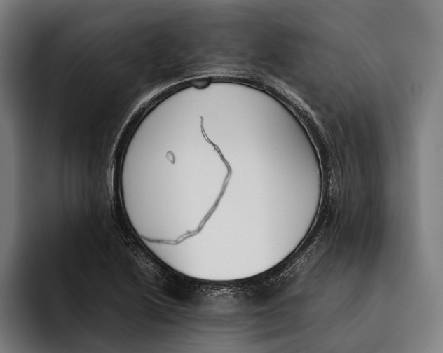 X0000092241222200710121231