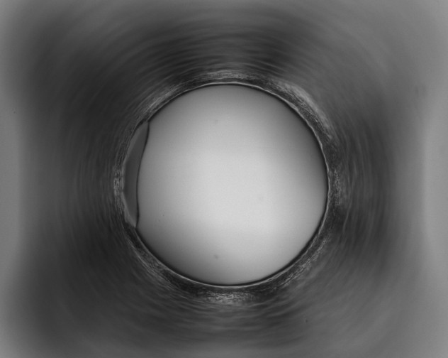 X0000092241225200710121231