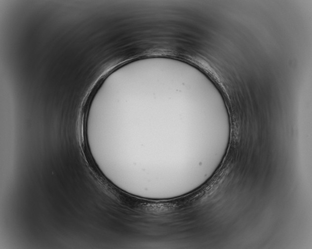 X0000092241227200710121231