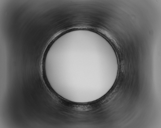 X0000092241229200710121231