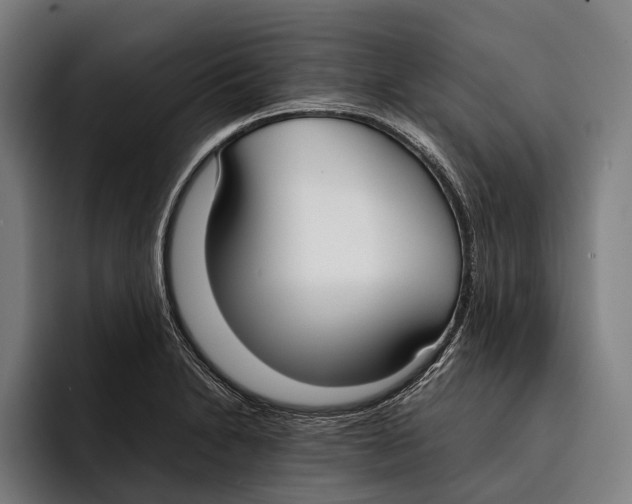 X0000092241230200710121231