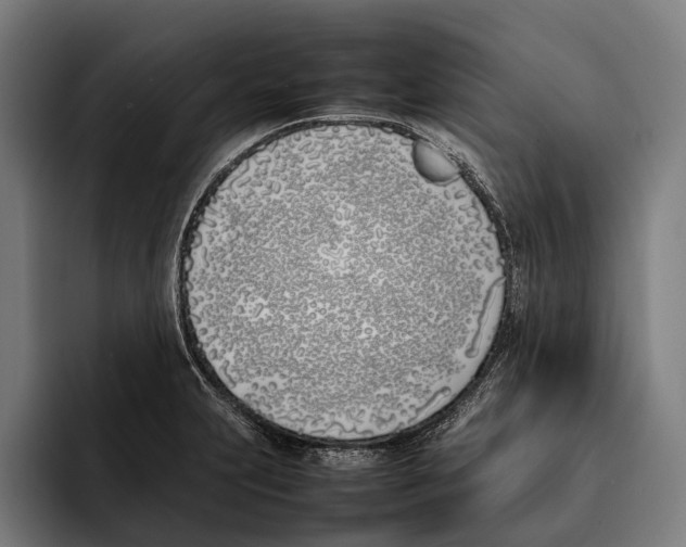 X0000092241231200710121231