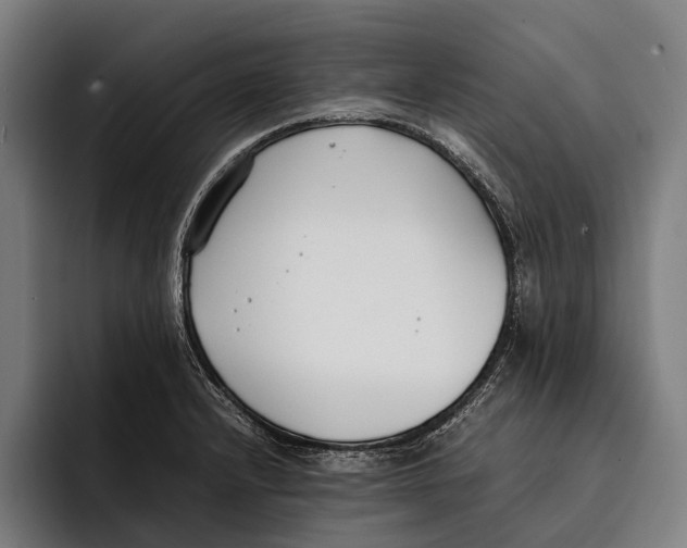 X0000092241232200710121231