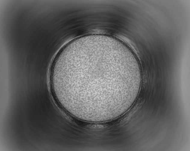 X0000092241235200710121231