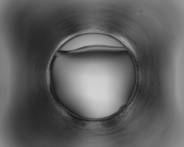 X0000092241238200710121231