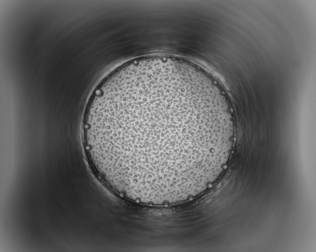 X0000092241239200710121231