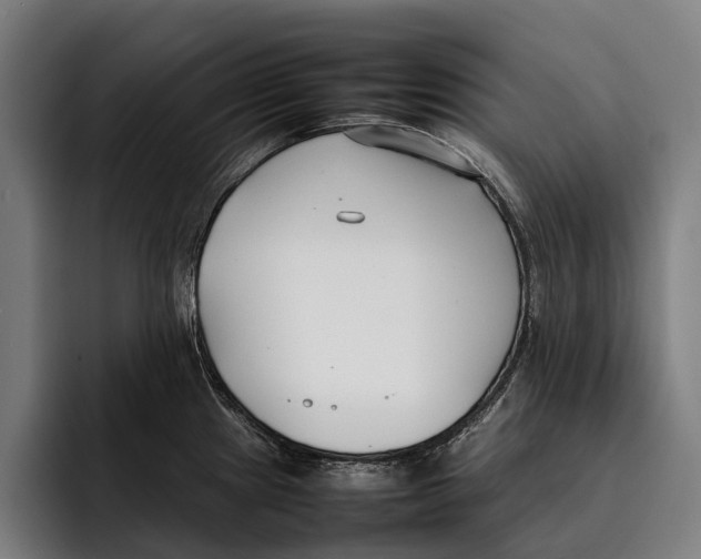 X0000092241241200710121231