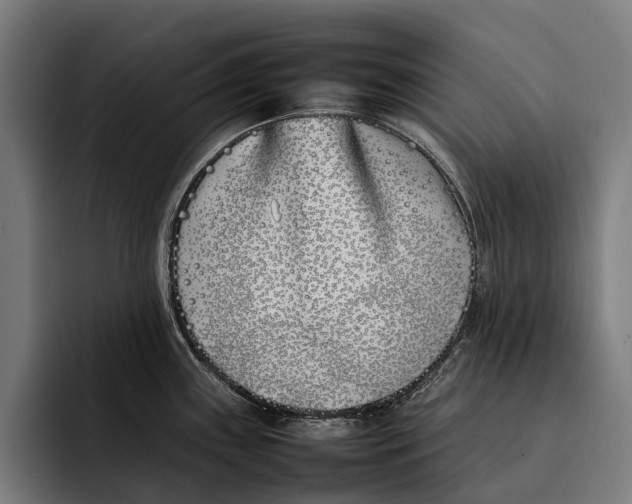X0000092241243200710121231