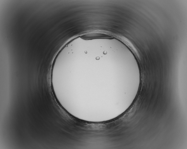 X0000092241244200710121231