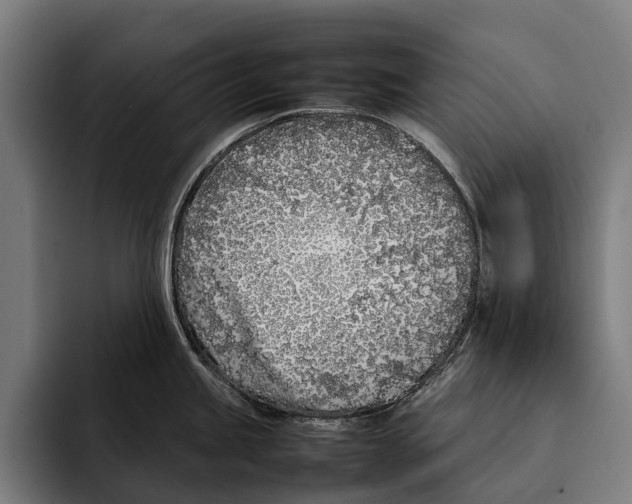 X0000092241245200710121231