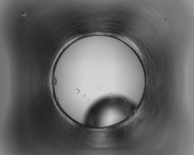 X0000092241247200710121231