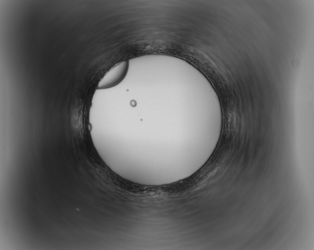 X0000092241250200710121230