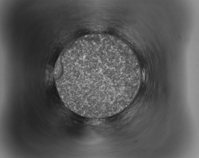 X0000092241251200710121230