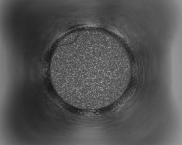 X0000092241255200710121230