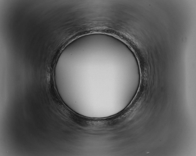 X0000092241257200710121230