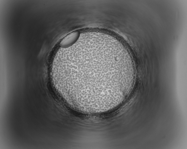 X0000092241263200710121230