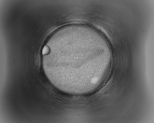 X0000092241267200710121230