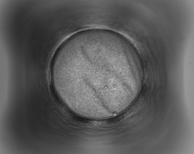 X0000092241271200710121230