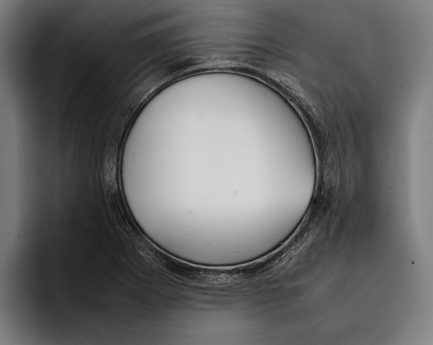X0000092241273200710121230