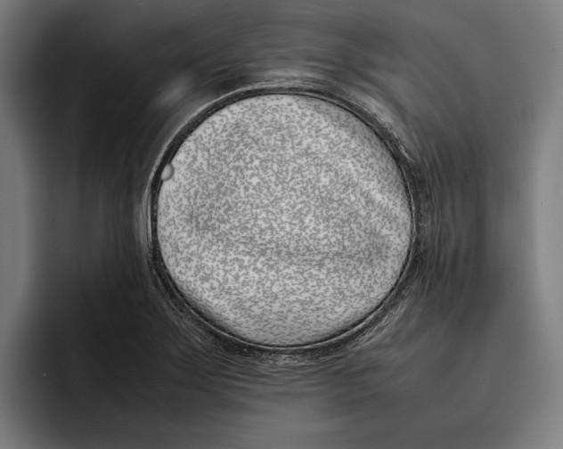 X0000092241275200710121230