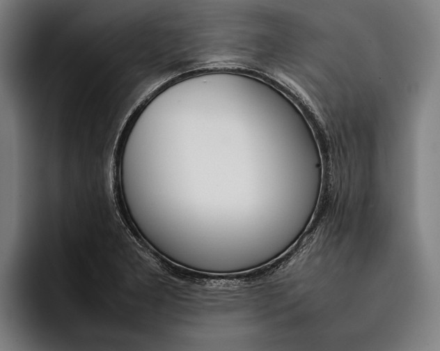 X0000092241277200710121230