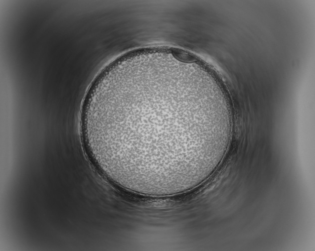 X0000092241279200710121230