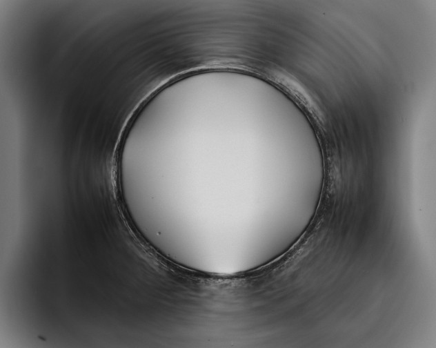 X0000092241284200710121230