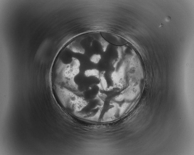 X0000092241291200710121230