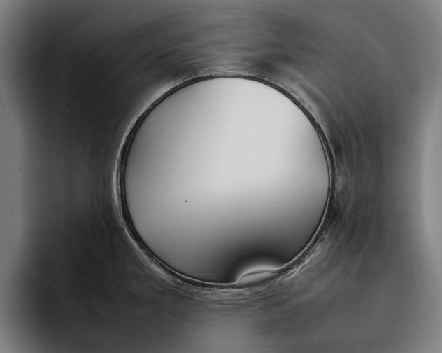 X0000092241293200710121230
