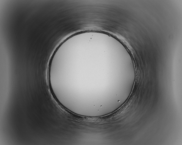X0000092241295200710121230