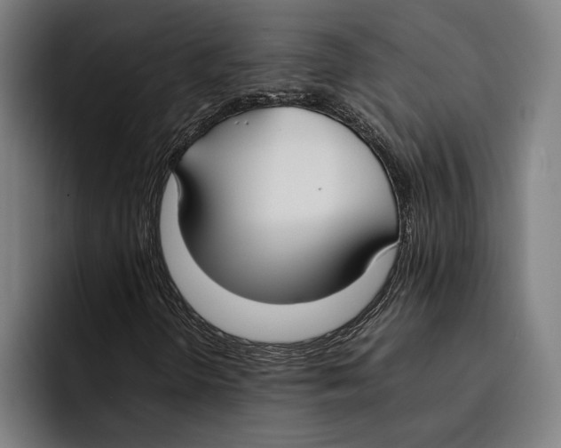 X0000092241298200710121229