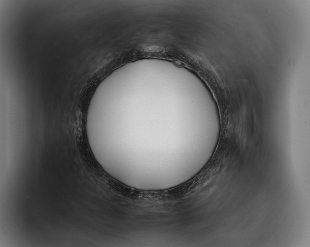 X0000092241301200710121229