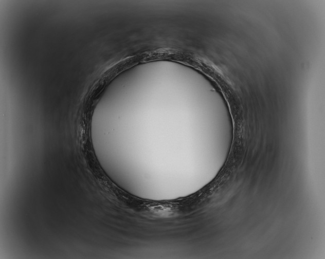 X0000092241303200710121229
