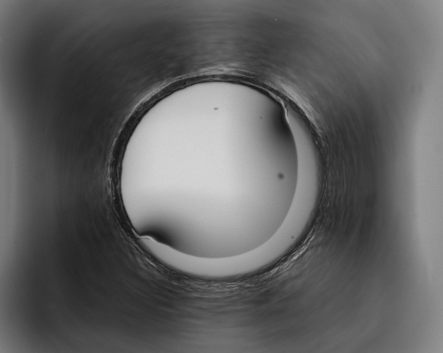 X0000092241308200710121229