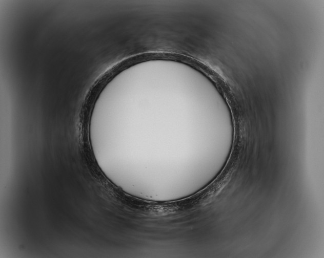 X0000092241311200710121229