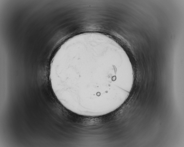 X0000092241314200710121229