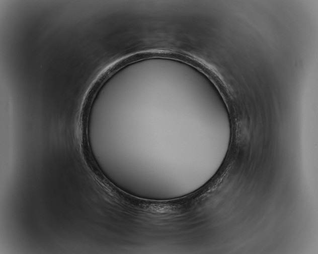 X0000092241319200710121229