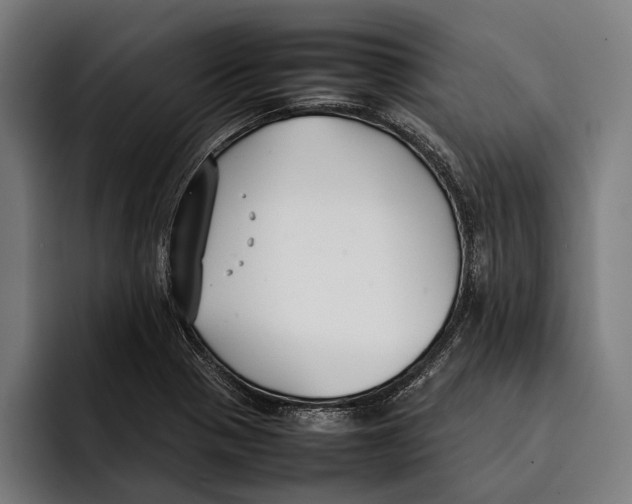 X0000092241321200710121229